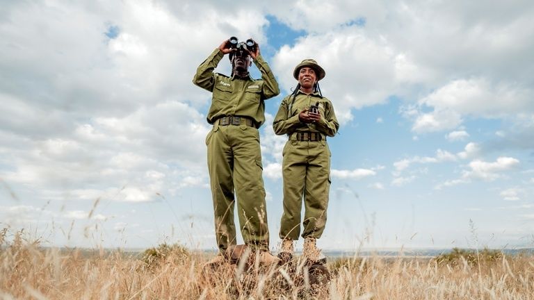 Two uniformed field officers surveying a grassland with binoculars